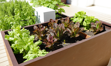 vegetable-planter-boxe