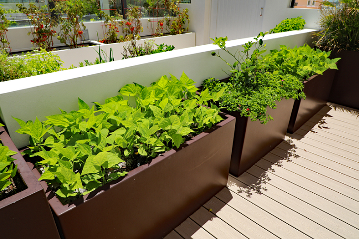 vegetable-planter-boxes