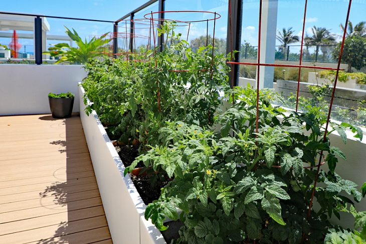 vegetable-planter