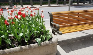 concrete-planter-boxes
