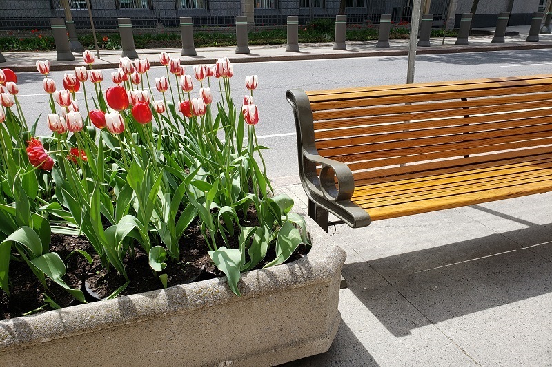 concrete-planter-boxes