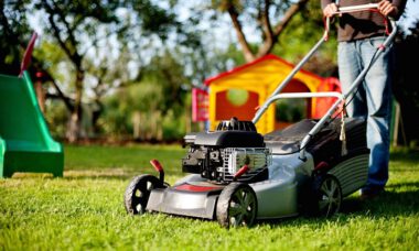 lawn-mower