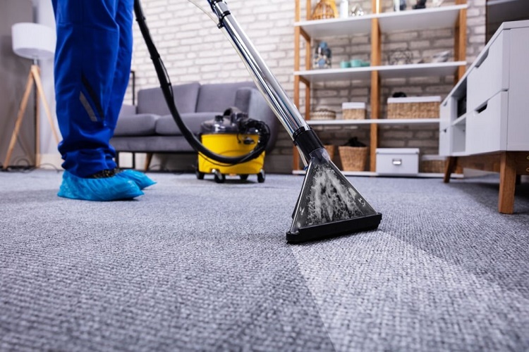 Benefits of Getting the Carpet Cleaned By Professionals