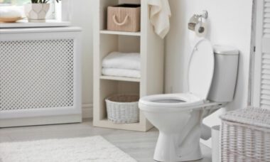 toilet