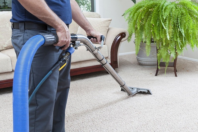 Keeping Your Carpet Perfect In Between The Professional Cleaning Sessions