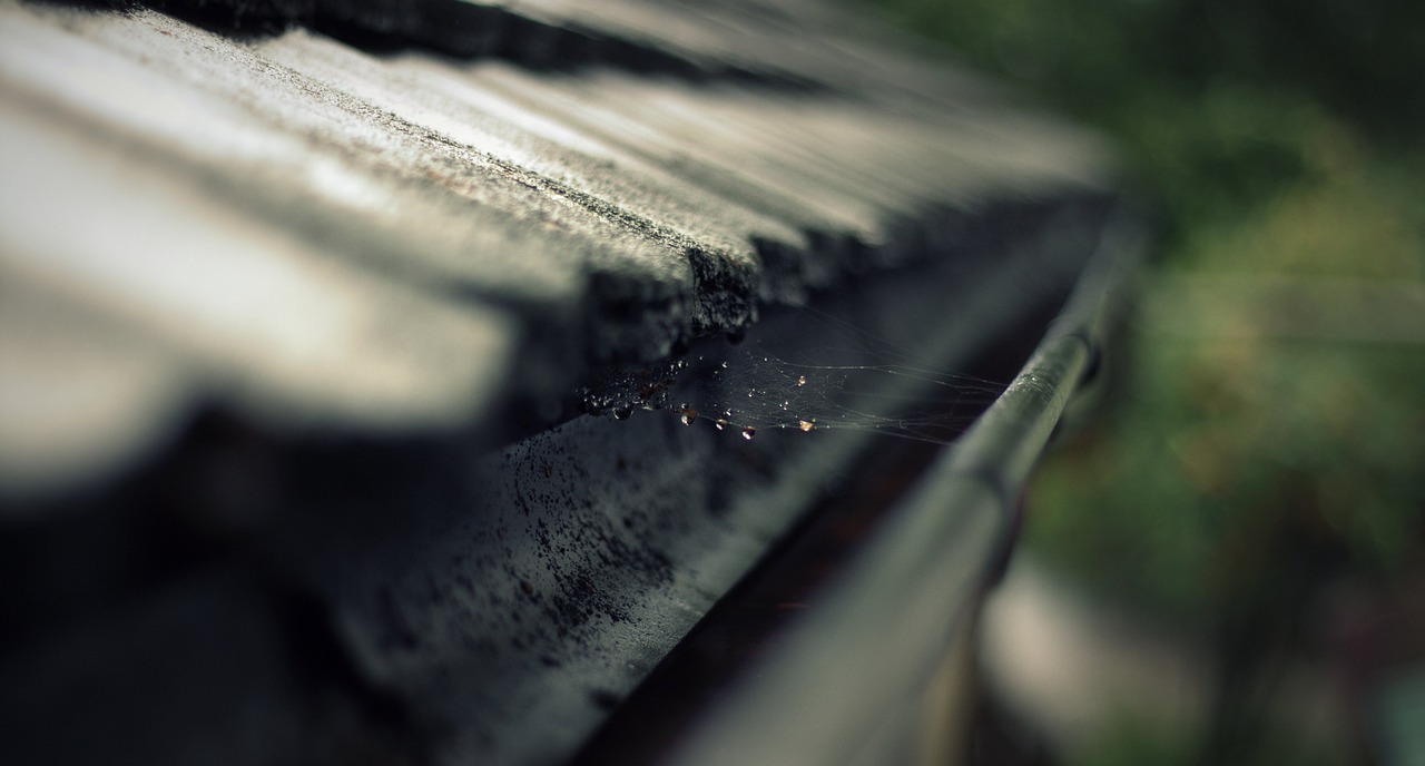 The Importance Of Regular Roof Gutter Cleaning For Your Home