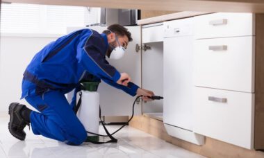 pest-control-services