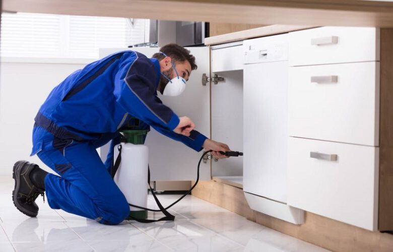 pest-control-services