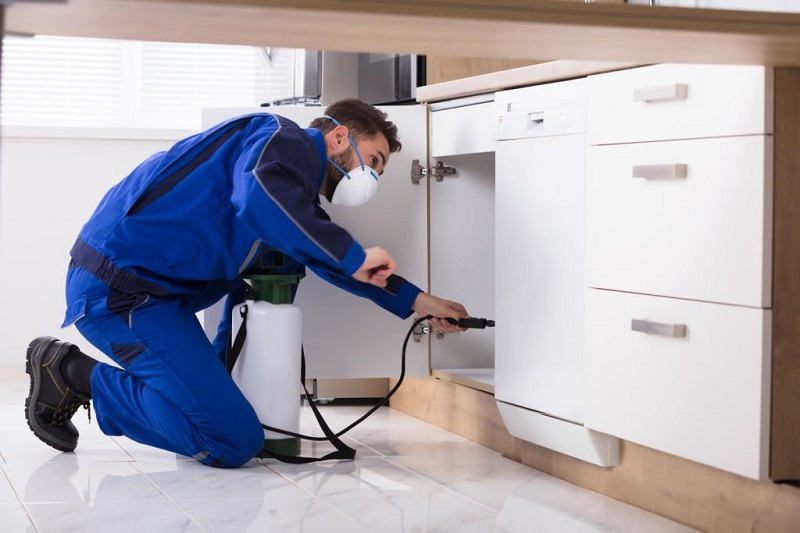 How to Find the Best Pest Control Company 2023