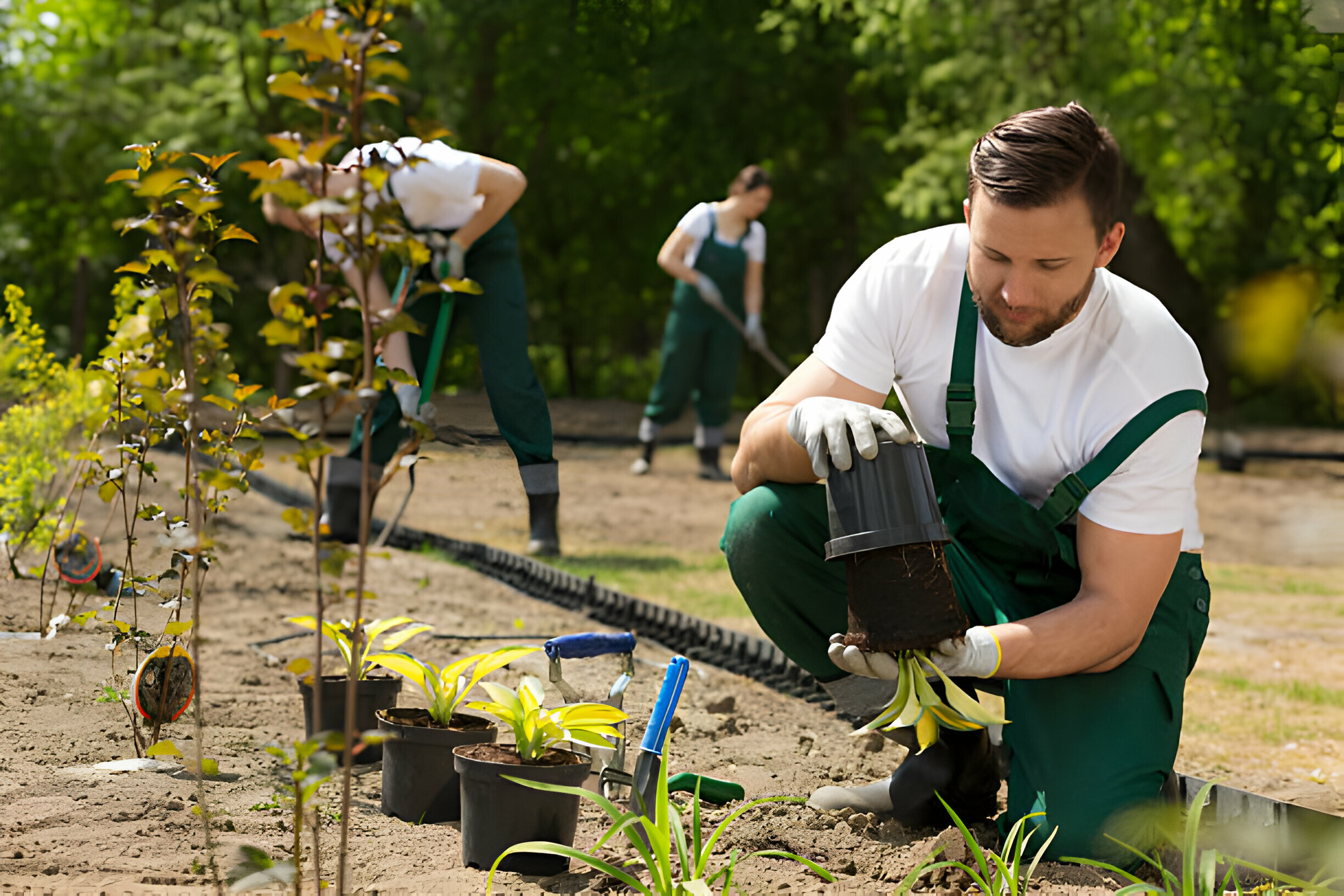 Landscapers